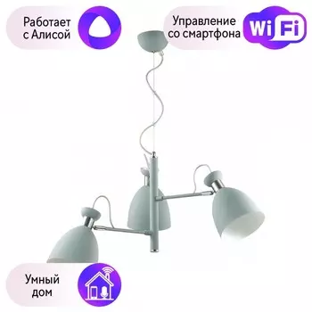 Подвесная люстра Lumion Kizzy с поддержкой Алиса 3735/3-A
