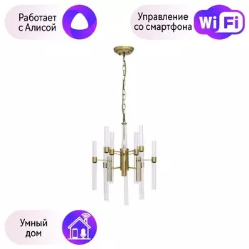 Подвесная люстра MW-Light Альгеро с поддержкой Алиса 285010703-A