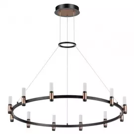 Подвесная люстра Odeon Light Candel 5009/48L