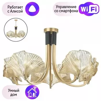 Подвесная люстра Odeon Light Ventaglio с поддержкой Алиса 4870/5-А