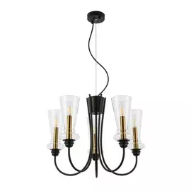 Подвесная люстра Rammo Evoluce SLE112403-05