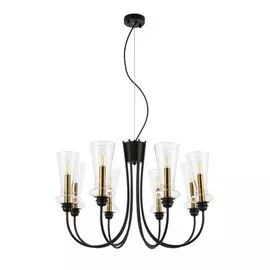 Подвесная люстра Rammo Evoluce SLE112403-08