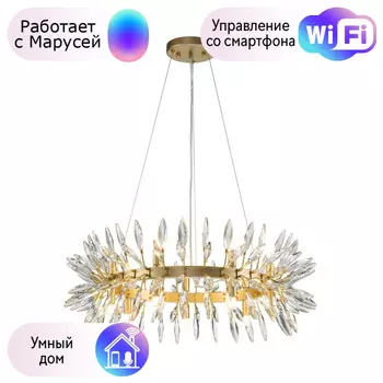 Подвесная люстра Rays Favourite с поддержкой Маруся 4058-14P-М