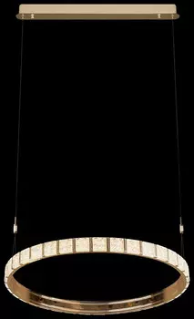 Подвесная люстра с пультом ДУ Wertmark Vera WE458.01.343