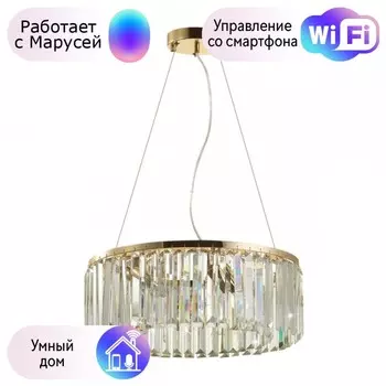 Подвесная люстра Vassa Odeon Light с поддержкой Маруся 4987/6-М