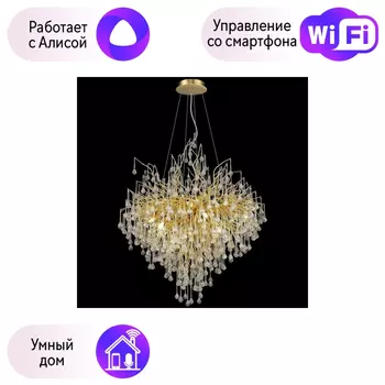 Подвесная люстра Wertmark Dionisia с поддержкой Алиса WE189.09.403-A