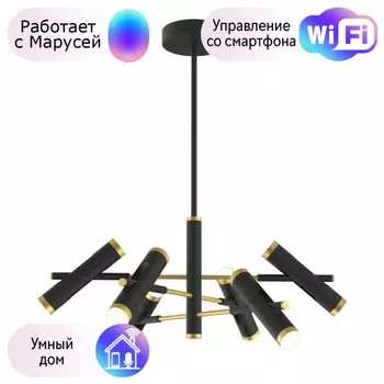 Подвесная светодиодная люстра Favourite Duplex с поддержкой Маруся 2324-12P-М
