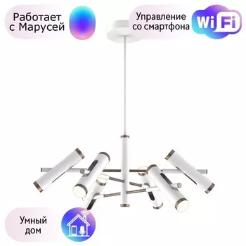 Подвесная светодиодная люстра Favourite Duplex с поддержкой Маруся 2325-12P-М