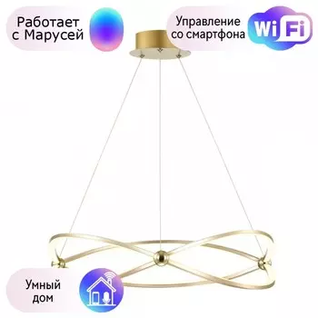 Подвесная светодиодная люстра Odeon Light Lesla с поддержкой Маруся 4730/43L-М