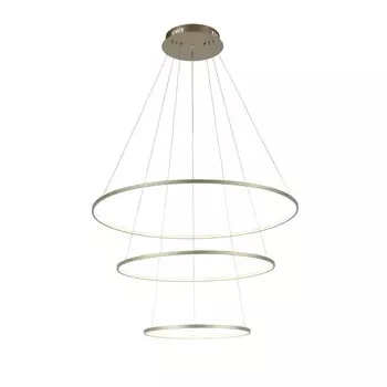 Подвесная светодиодная люстра ST Luce Erto SL904.203.03