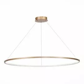 Подвесная светодиодная люстра St Luce IN ST603.243.57