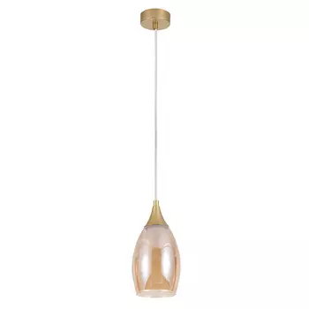 Подвесной светильник Arte Lamp Barry A7951SP-1GO