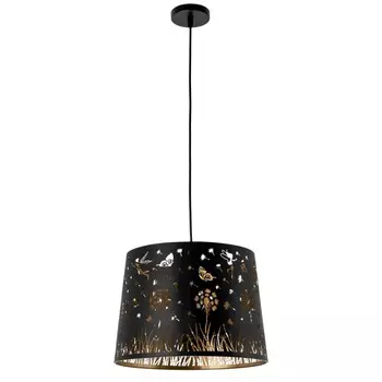 Подвесной светильник Arte lamp Celesta A2768SP-1BK