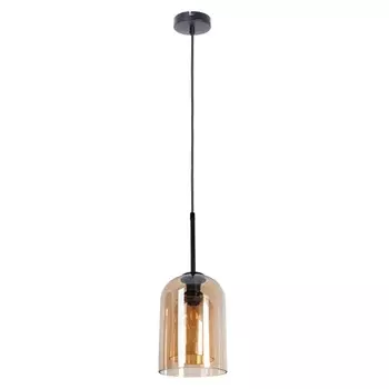 Подвесной светильник Arte Lamp Paio A7015SP-1BK