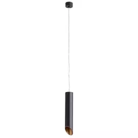 Подвесной светильник Arte lamp Pilon-gold A1536SP-1BK