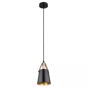 Подвесной светильник Arte Lamp Thomas A7032SP-1BK