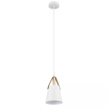 Подвесной светильник Arte Lamp Thomas A7032SP-1WH