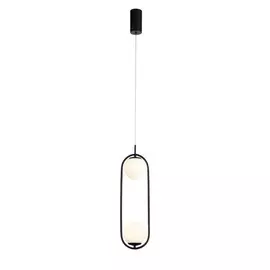 Подвесной светильник Donolo ST-Luce SL395.403.02