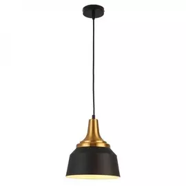 Подвесной светильник Escada Aries 1102/1S Black