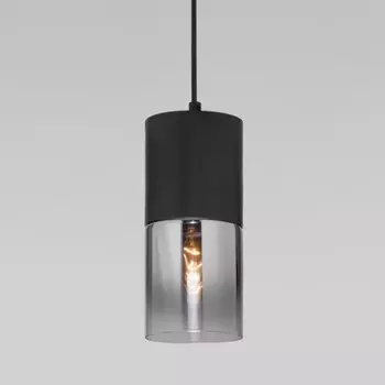 Подвесной светильник Eurosvet Hosk 50233/1