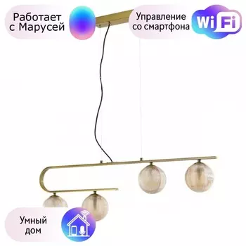 Подвесной светильник Favourite Idem с поддержкой Маруся 2723-4P-М