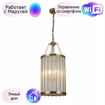 Подвесной светильник Favourite Orion с поддержкой Маруся 2908-4P-М