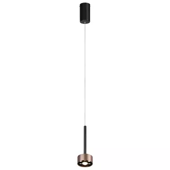 Подвесной светильник Favourite Skive 4319-1P