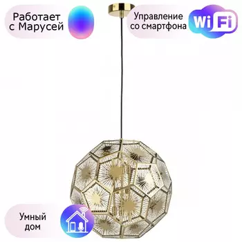 Подвесной светильник Lightstar с поддержкой Маруся Fermo 724262