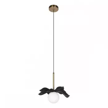 Подвесной светильник Loft IT Monro 10213/A Black