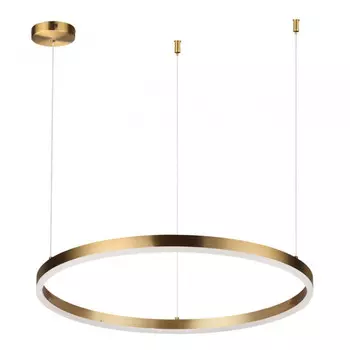 Подвесной светильник Lumion Ledio Echo 6531/50L