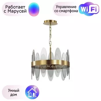 Подвесной светильник Lumion Meredith с поддержкой Маруся 5268/4-М