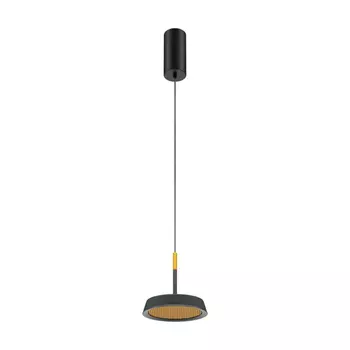 Подвесной светильник Maytoni El MOD041PL-L15GB3K