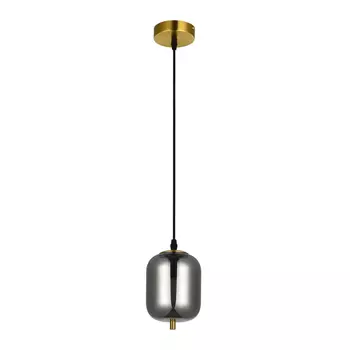 Подвесной светильник с 1 LED лампами. Комплект от Lustrof №618747-709222