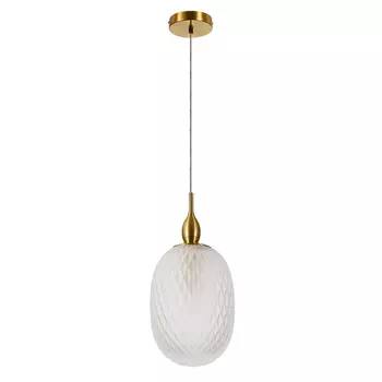 Подвесной светильник с LED лампой. Комплект от Lustrof №649065-709334