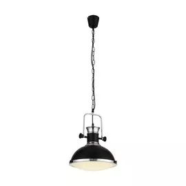 Подвесной светильник ST-Luce Lanterio SL404.103.01