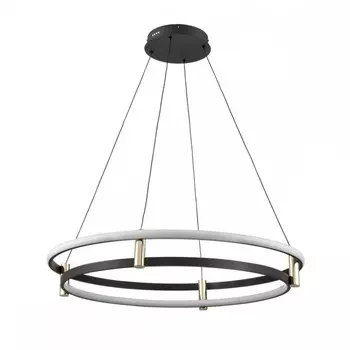 Подвесной светильник Vele Luce Libertas VL7314P24