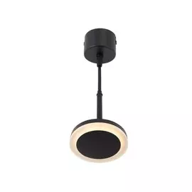 Подвесной светодиодный светильник Denkirs DK4022-BK