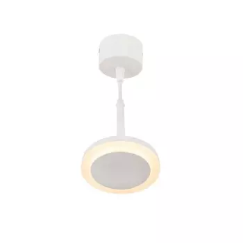 Подвесной светодиодный светильник Denkirs DK4022-WH