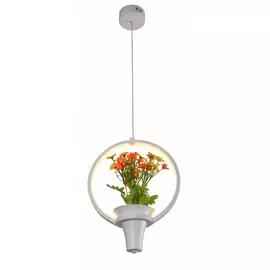 Подвесной светодиодный светильник Escada 10213/S LED