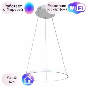 Подвесной светодиодный светильник Favourite Giro с поддержкой Маруся 1765-4P-М