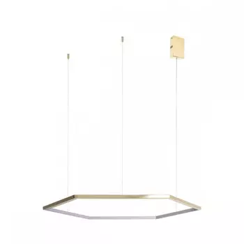 Подвесной светодиодный светильник Loft IT Ring 10016M