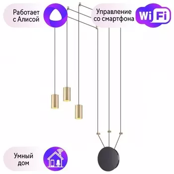 Подвесной светодиодный светильник Odeon Light Lucas с поддержкой Алиса 3898/3-А