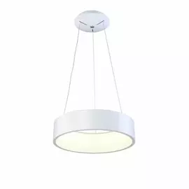 OML-45203-42 Подвесной светильник Omnilux Enfield