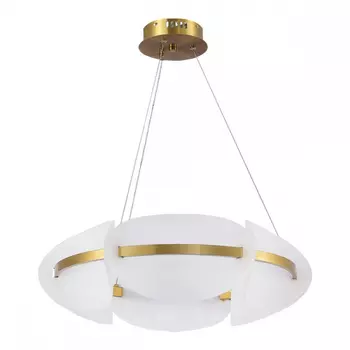 Подвесной светодиодный светильник ST Luce Etoile SL1304.203.45