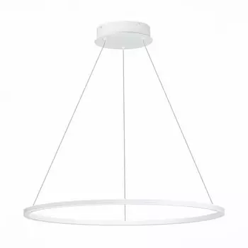 Подвесной светодиодный светильник St Luce OUT ST604.543.34