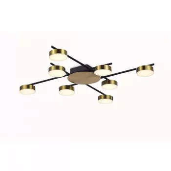 Потолочная люстра Aployt Delayn APL.042.07.56