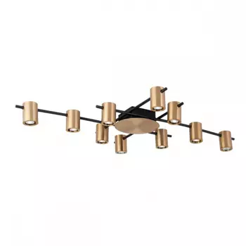 Потолочная люстра Aployt Elwisia APL.633.07.10