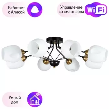 Потолочная люстра Arte lamp Brighton с поддержкой Алиса A2706PL-8CK-A