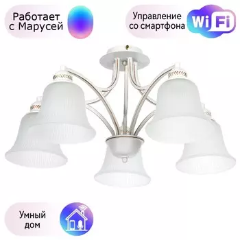 Потолочная люстра Arte lamp Emma с поддержкой Маруся A2713PL-5WG-М