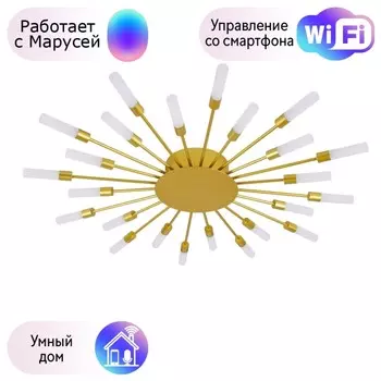 Потолочная люстра Arte Lamp Maple с поддержкой Маруся A1276PL-24GO-М